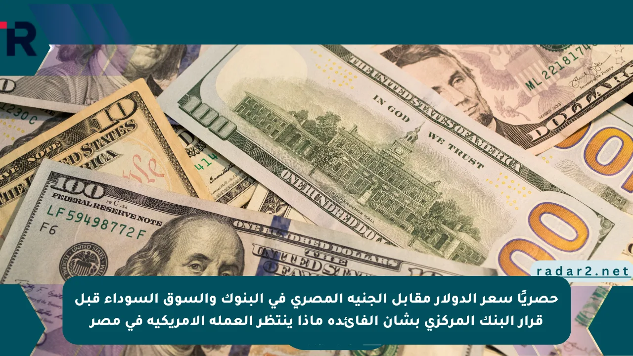 حصريًا سعر الدولار مقابل الجنيه المصري في البنوك والسوق السوداء قبل قرار البنك المركزي بشأن الفائدة ماذا ينتظر العملة الأمريكية في مصر